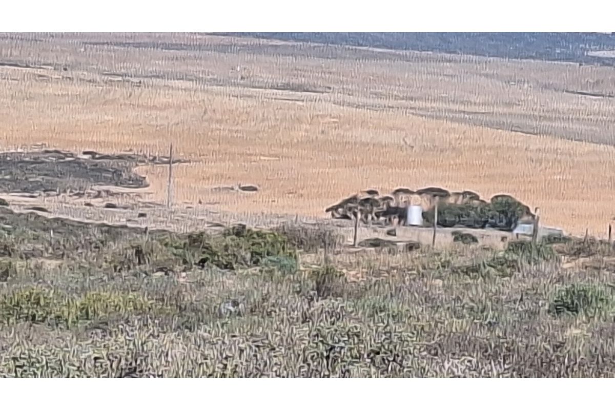 An elevated view of a large, undeveloped residential plot featuring natural scrubland, sparse vegetation, and distant rural landscape.