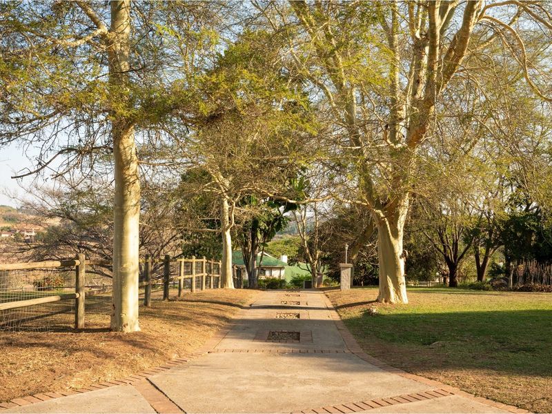 A scenic paved driveway lined with mature trees and wooden post-and-rail fencing, leading towards the property entrance.