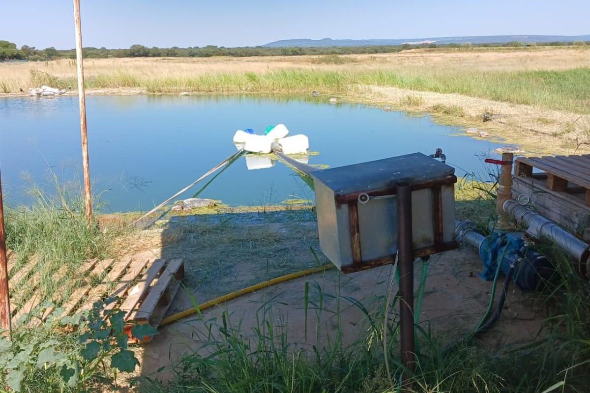 WATER IN ABUNDANCE!!!  85 HECTARE IRRIGATION FARM - Photo 3