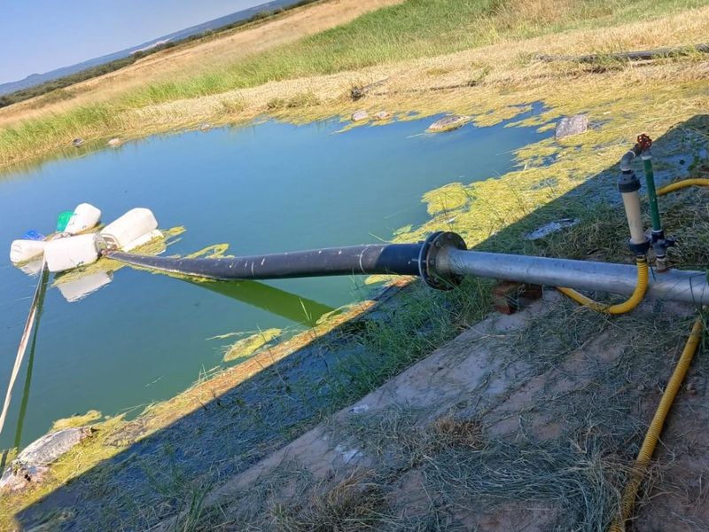 WATER IN ABUNDANCE!!!  85 HECTARE IRRIGATION FARM - Photo 7