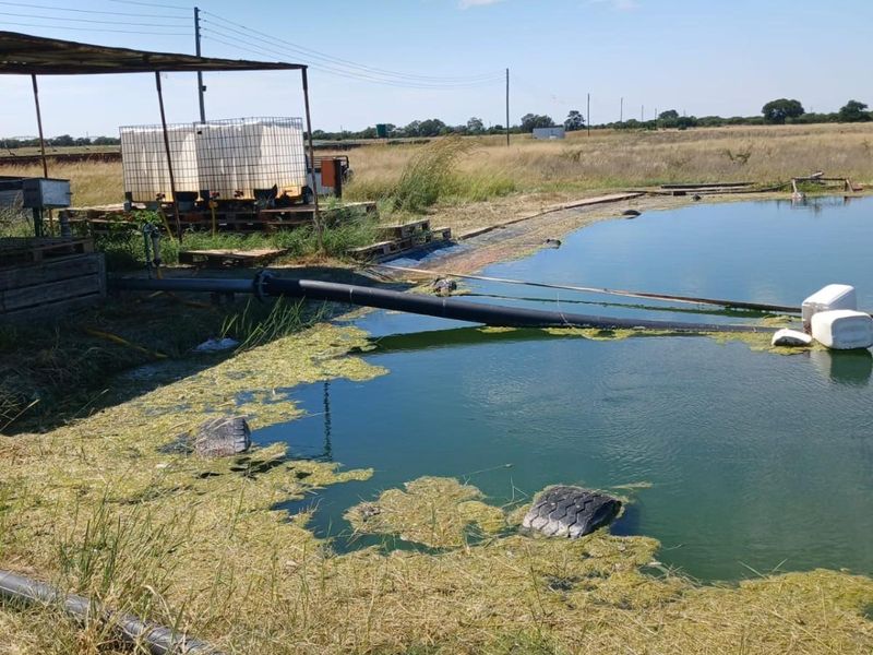 WATER IN ABUNDANCE!!!  85 HECTARE IRRIGATION FARM - Photo 6