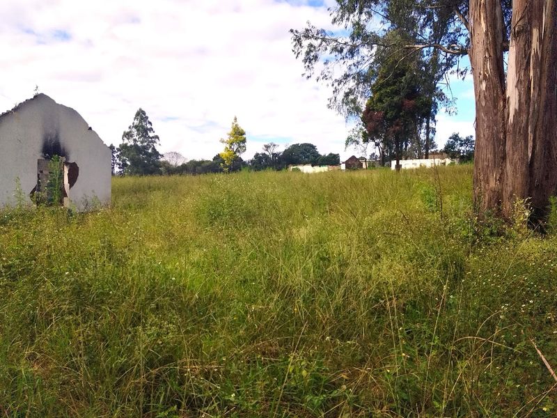A vacant residential plot featuring overgrown grass, mature trees, and the remains of a dilapidated structure with visible fire damage.