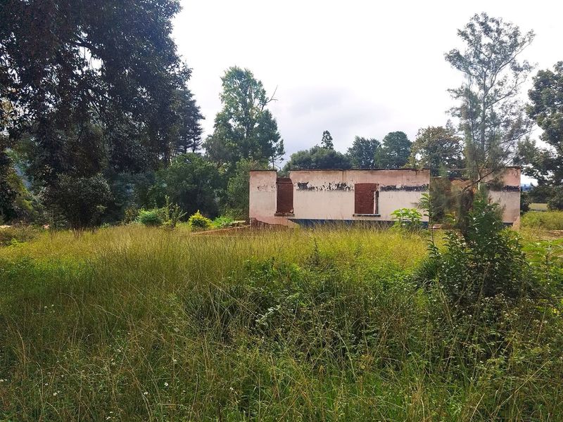 A view of a dilapidated residential structure on a large, overgrown plot of land, showing significant structural deterioration and missing roof components.