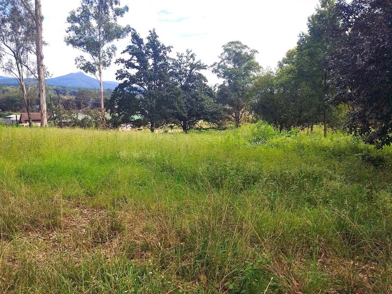 A view of a vacant residential plot featuring established trees and natural grassland with mountain views in the background.
