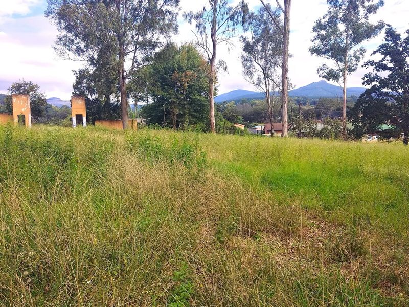 A vacant residential plot featuring mature trees, overgrown grass, and remnants of a boundary wall with scenic mountain views in the background.