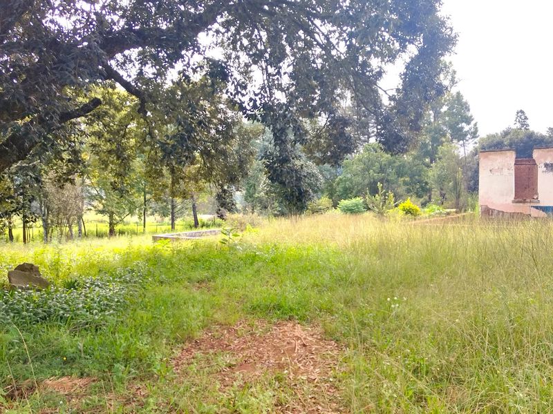 A large, overgrown residential plot featuring mature trees and the remains of a masonry structure, offering significant potential for development.
