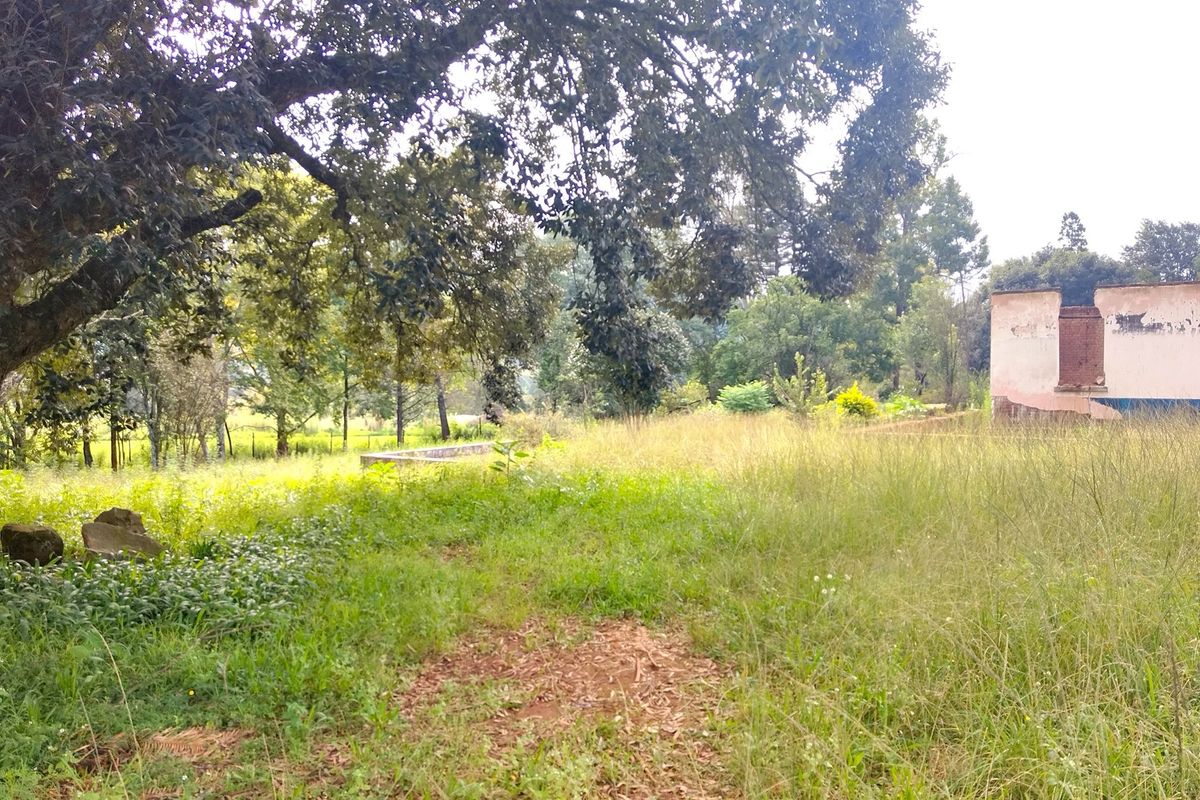 A large, overgrown residential plot featuring mature trees and the remains of a masonry structure, offering significant potential for development.