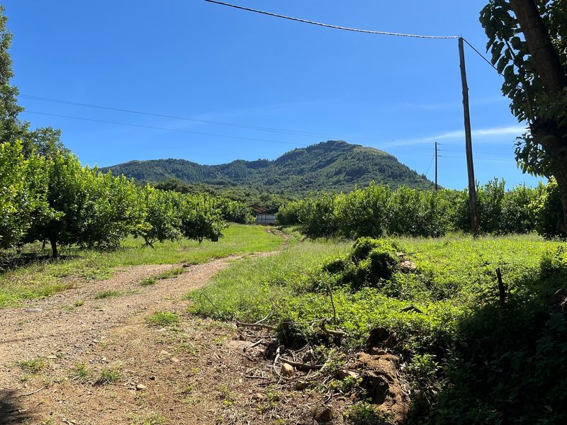 Own a Piece Schoemanskloof - Photo 7