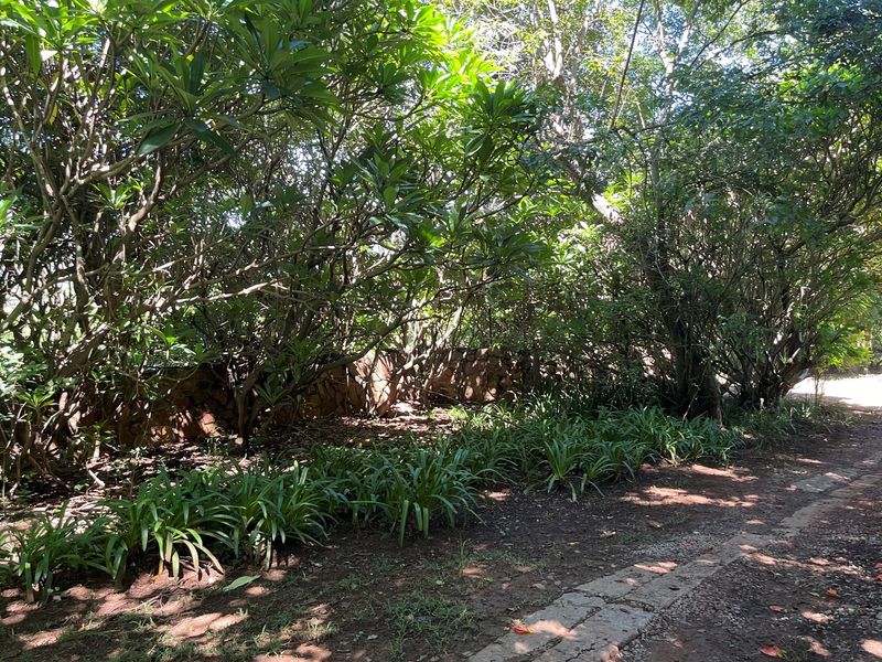 Own a Piece Schoemanskloof - Photo 8