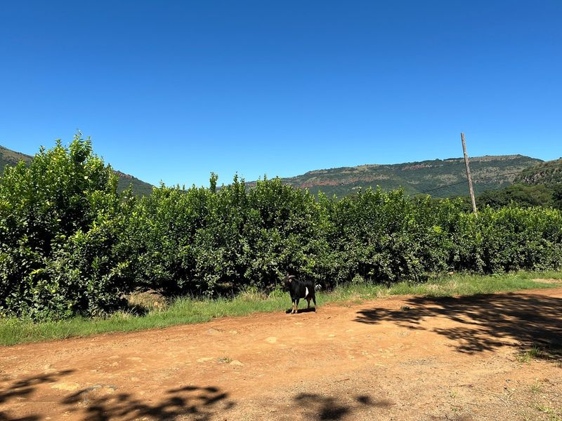 Own a Piece Schoemanskloof - Photo 2