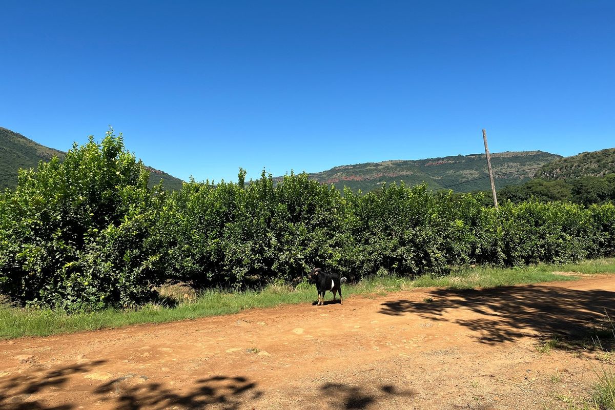 Own a Piece Schoemanskloof - Photo 2
