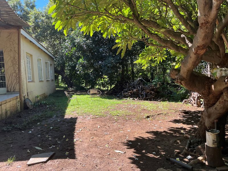 Own a Piece Schoemanskloof - Photo 5