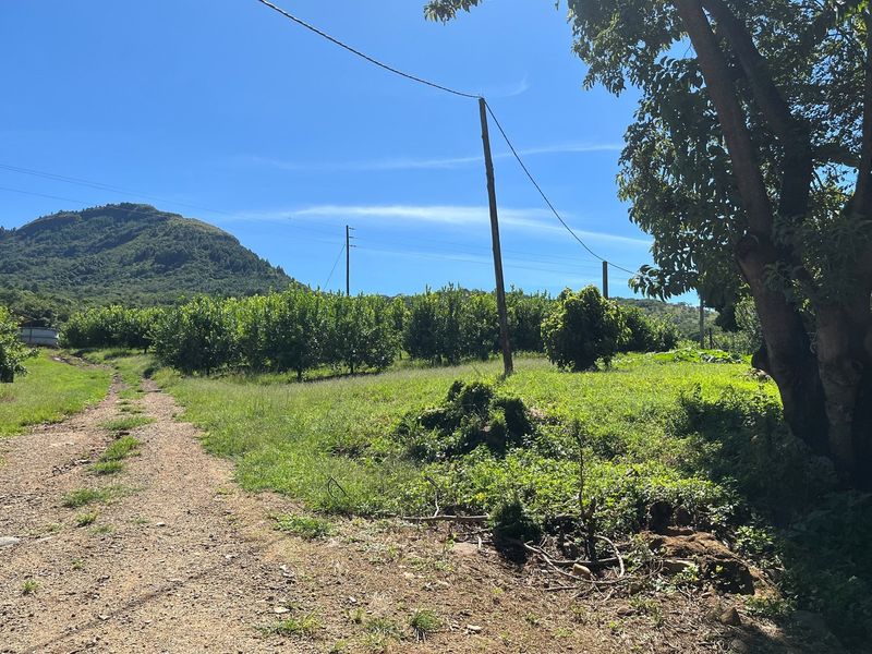 Own a Piece Schoemanskloof - Photo 6