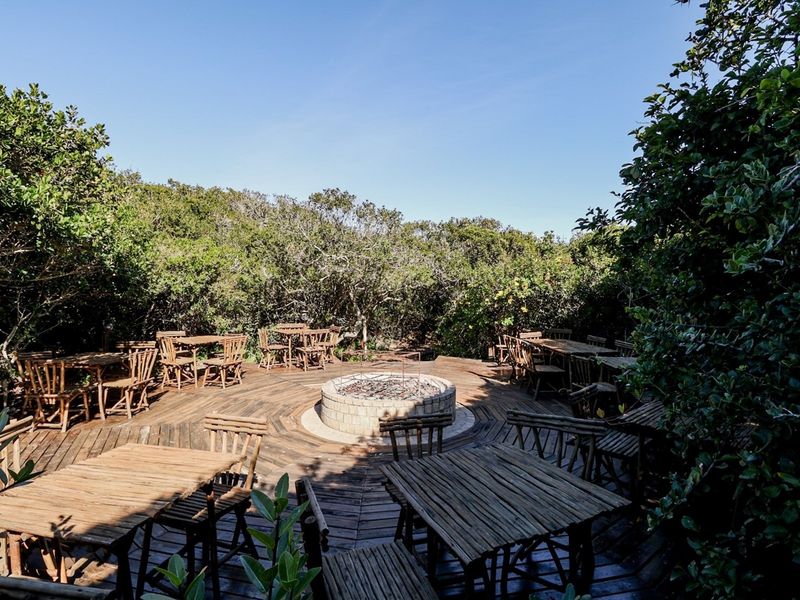 Magnificent sea and bush view vacant stand! - Photo 6