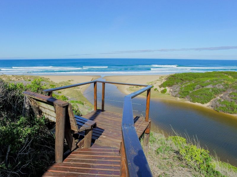 Magnificent sea and bush view vacant stand! - Photo 5