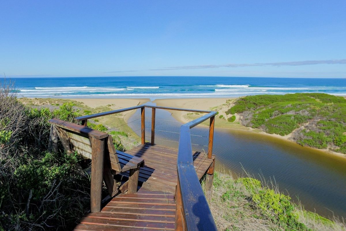 Magnificent sea and bush view vacant stand! - Photo 5