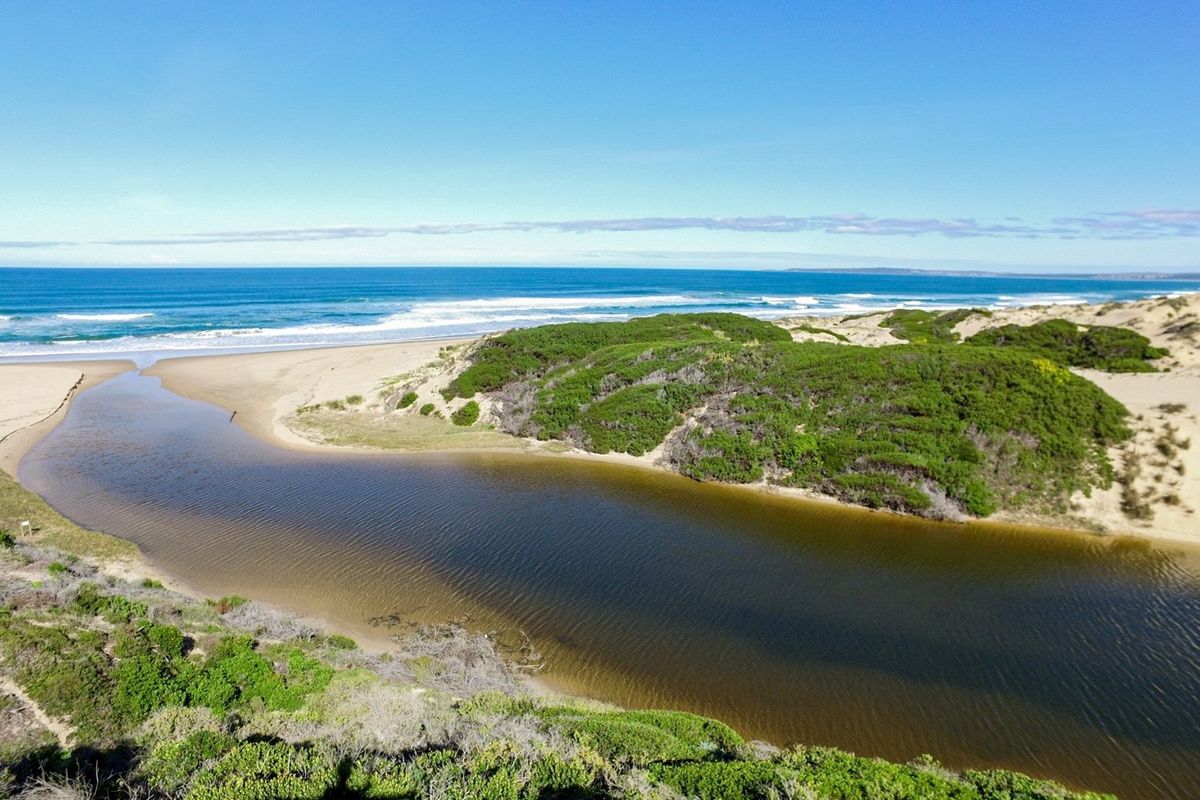 Magnificent sea and bush view vacant stand! - Photo 3
