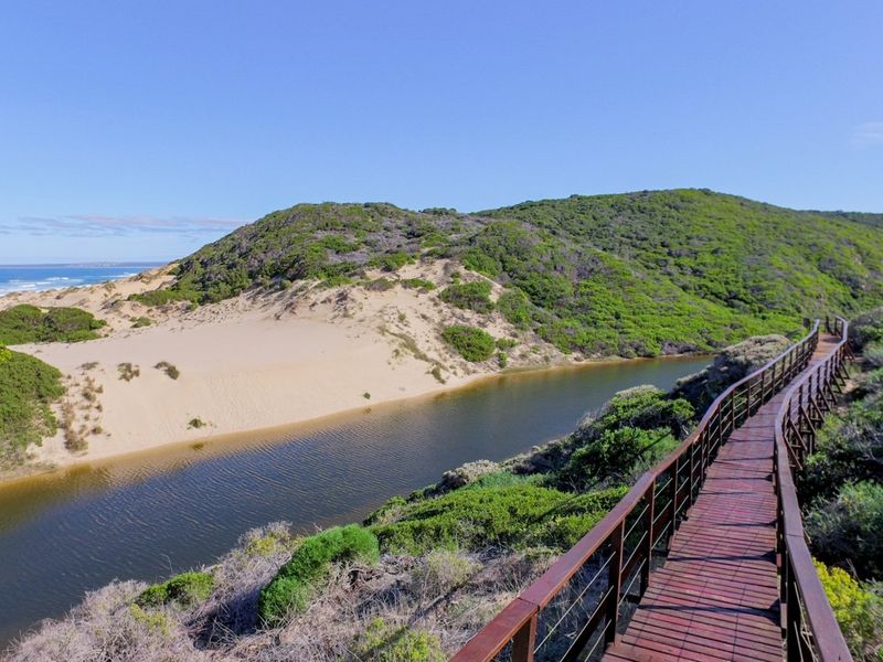 Magnificent sea and bush view vacant stand! - Photo 4