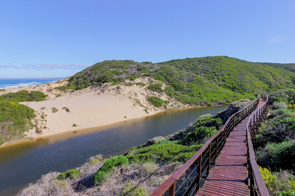 Magnificent sea and bush view vacant stand! - Photo 4