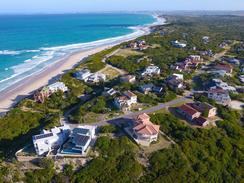 An elevated aerial view of a coastal residential estate featuring multiple homes nestled within natural vegetation along the coastline.