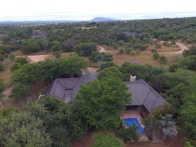 Aerial view of a property featuring a thatched roof house, a swimming pool, and a patio, set within a natural bushveld landscape.