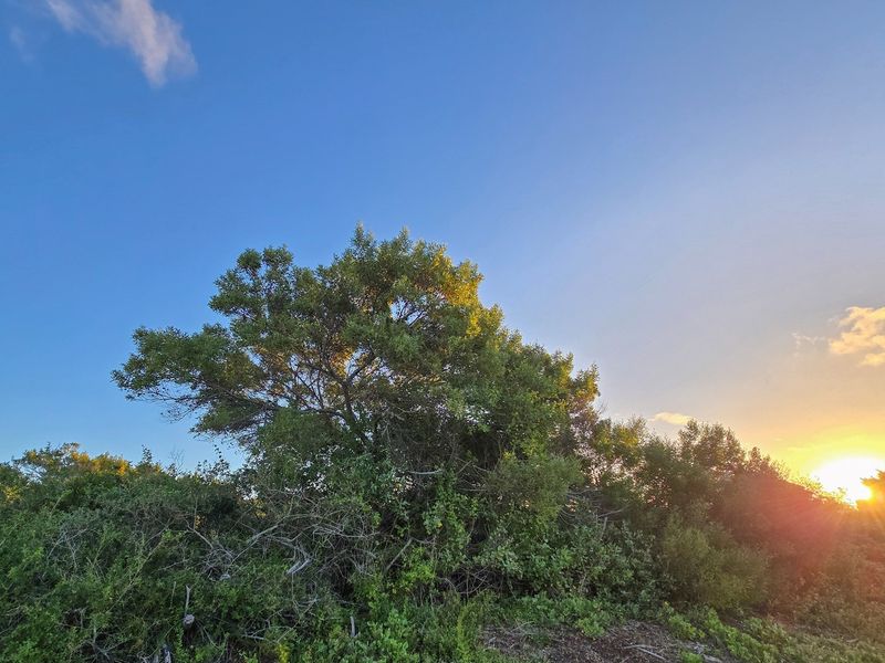 Build Your Legacy in St Francis Bay - St Francis-on-Sea - Photo 5