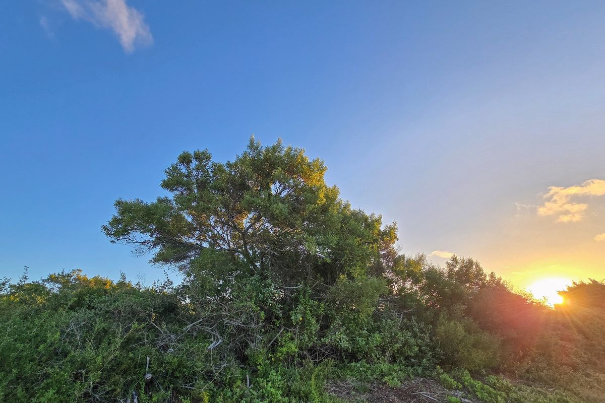 Build Your Legacy in St Francis Bay - St Francis-on-Sea - Photo 5