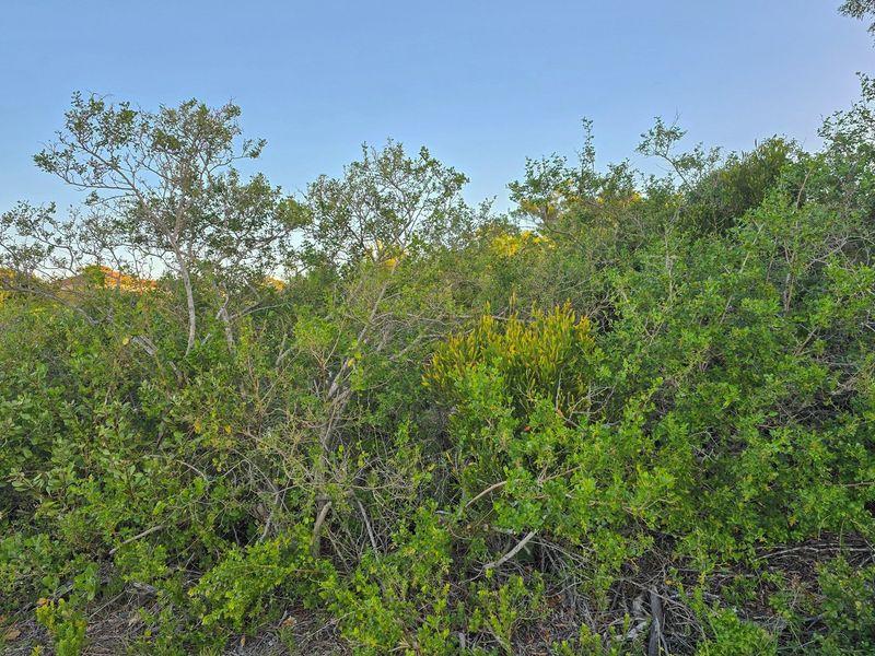 Build Your Legacy in St Francis Bay - St Francis-on-Sea - Photo 3