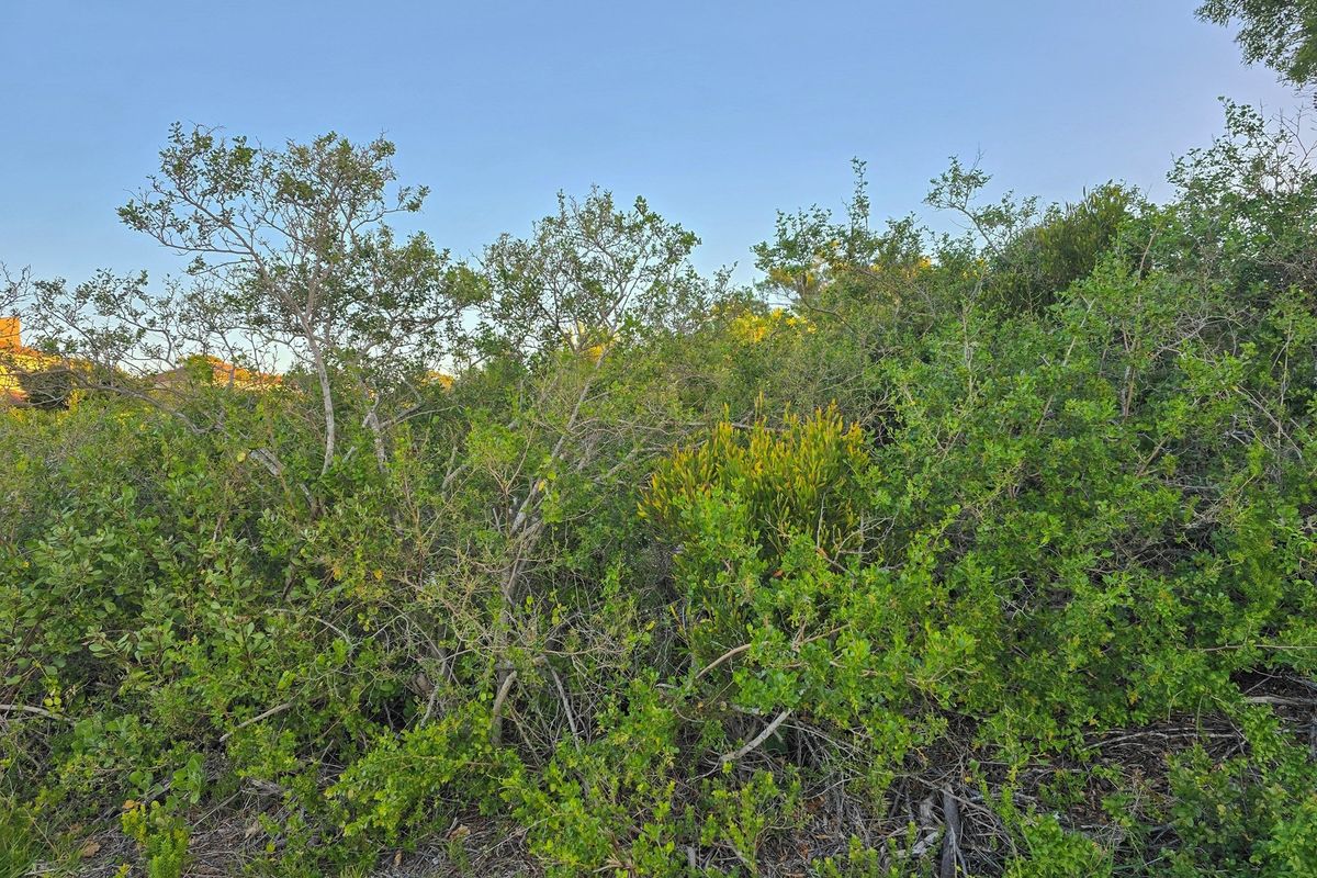 Build Your Legacy in St Francis Bay - St Francis-on-Sea - Photo 3