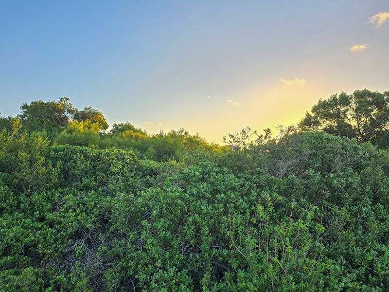 Build Your Legacy in St Francis Bay - St Francis-on-Sea - Photo 2