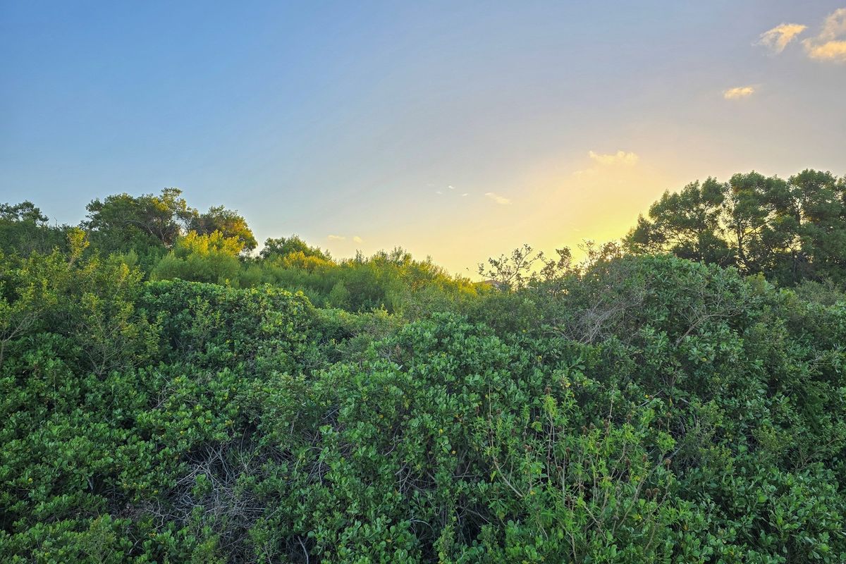 Build Your Legacy in St Francis Bay - St Francis-on-Sea - Photo 2