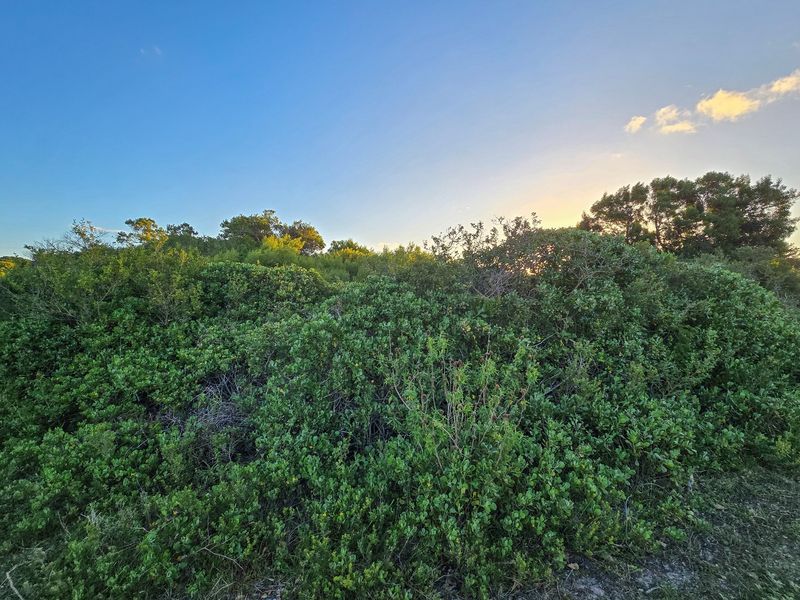 Build Your Legacy in St Francis Bay - St Francis-on-Sea - Photo 8