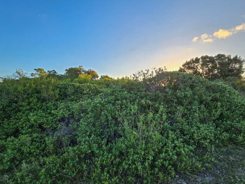 Build Your Legacy in St Francis Bay - St Francis-on-Sea - Photo 6