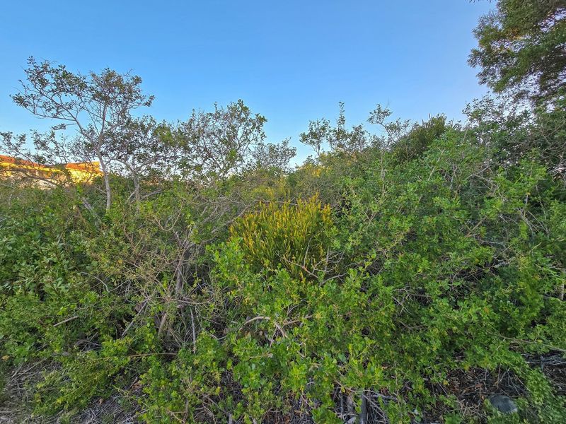 Build Your Legacy in St Francis Bay - St Francis-on-Sea - Photo 4