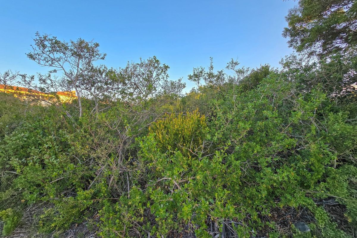 Build Your Legacy in St Francis Bay - St Francis-on-Sea - Photo 4