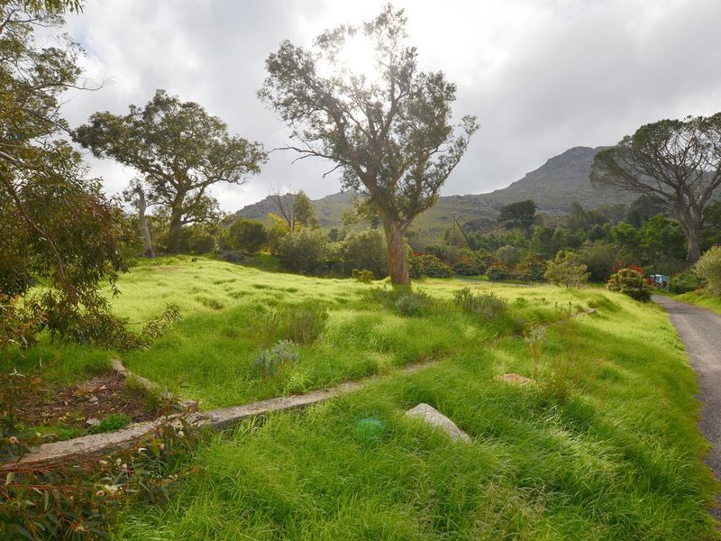 Prime Development Land in Bainskloof Pass - Zoned for Hotel Use or Residential Development - Photo 7