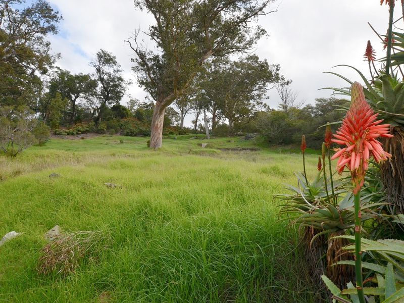 Prime Development Land in Bainskloof Pass - Zoned for Hotel Use or Residential Development - Photo 3