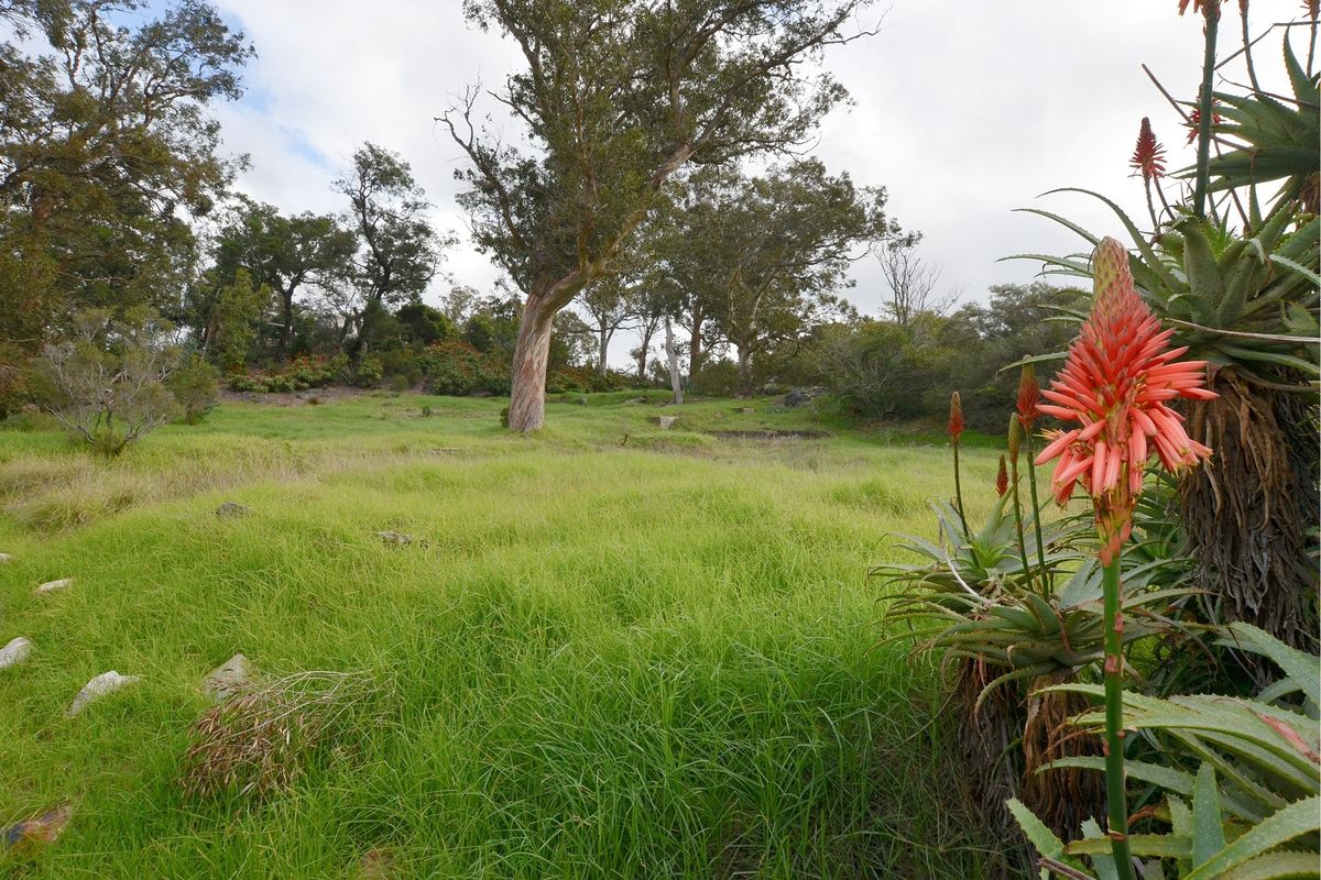 Prime Development Land in Bainskloof Pass - Zoned for Hotel Use or Residential Development - Photo 3