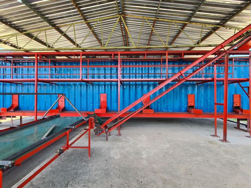 54-hectare Macadamia Paradise in the heart of the Lowveld - Photo 3