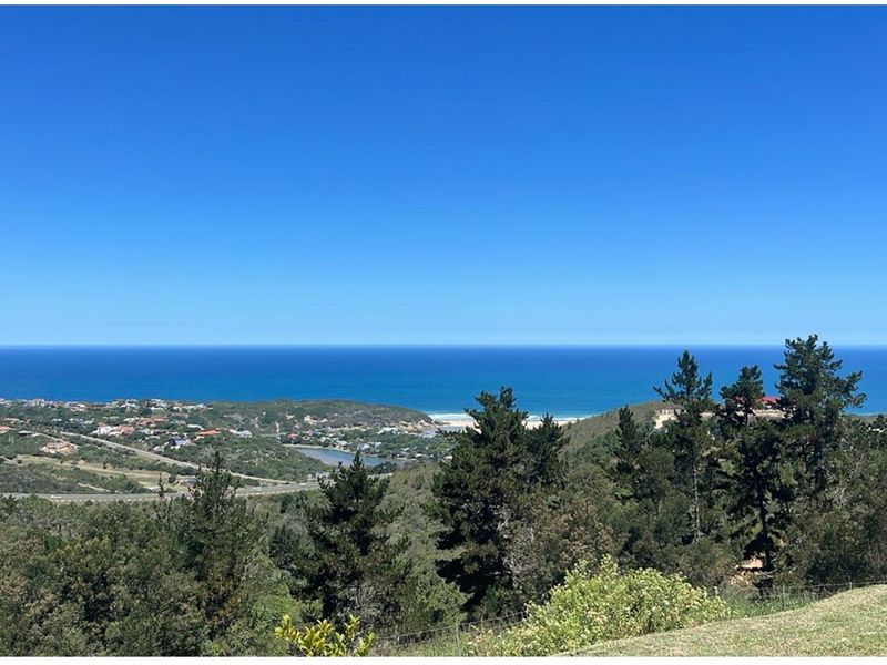 A panoramic elevated view overlooking the coastal landscape, ocean, and surrounding residential area.