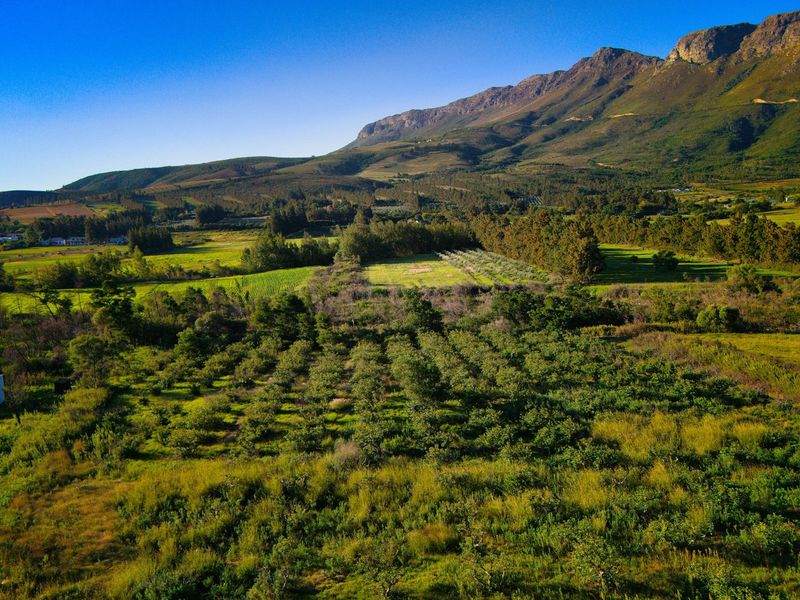 An expansive aerial view of a lush farm property featuring established orchards, rolling green fields, and a scenic mountain backdrop.