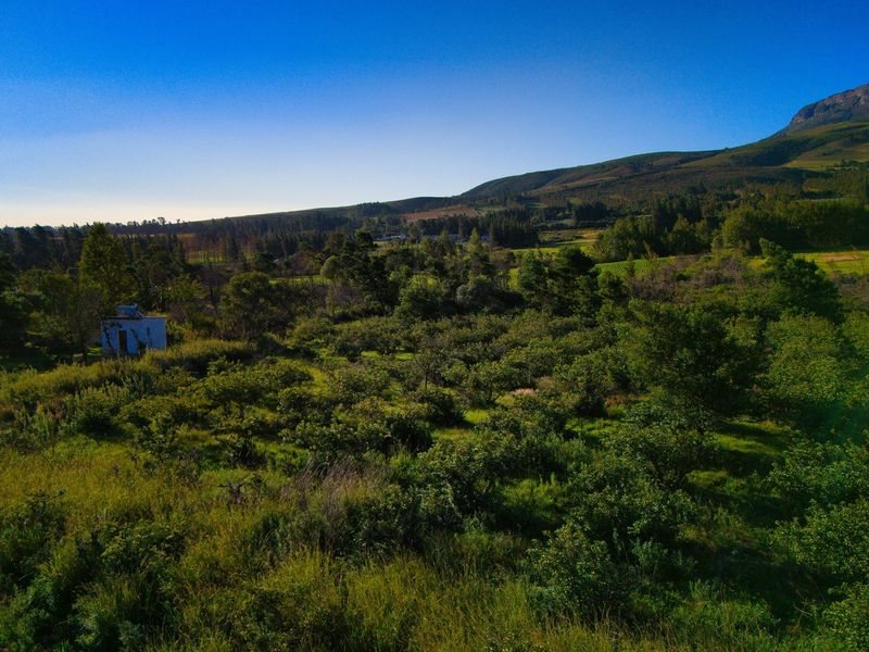 A scenic elevated view of the farm property featuring an established orchard and expansive mountain landscape.