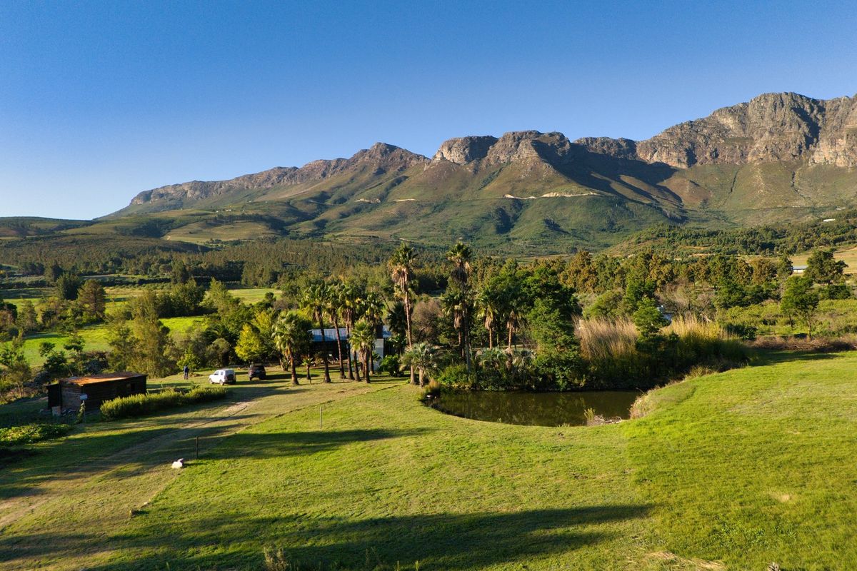 An aerial view of the farm property featuring expansive green pastures, a natural pond, and a scenic mountain backdrop.