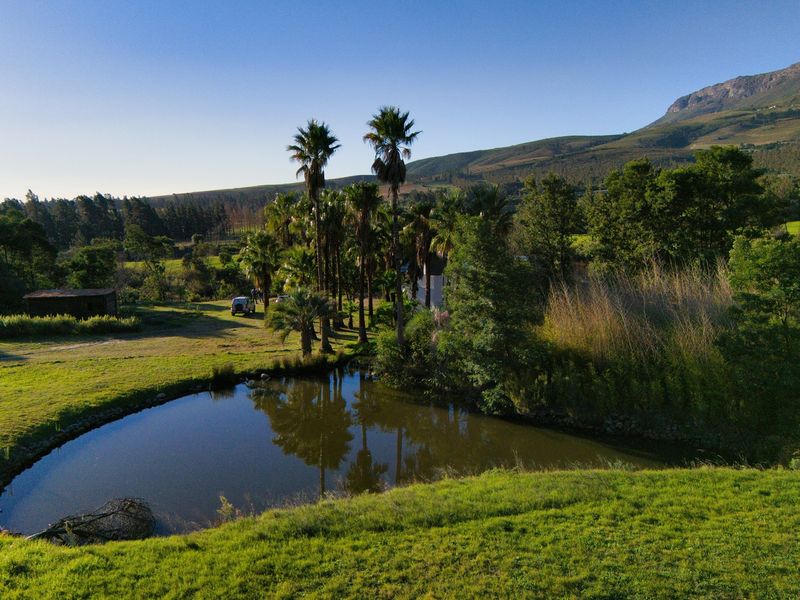 A scenic aerial view of the farm property featuring a natural pond, established palm trees, and expansive mountain vistas.