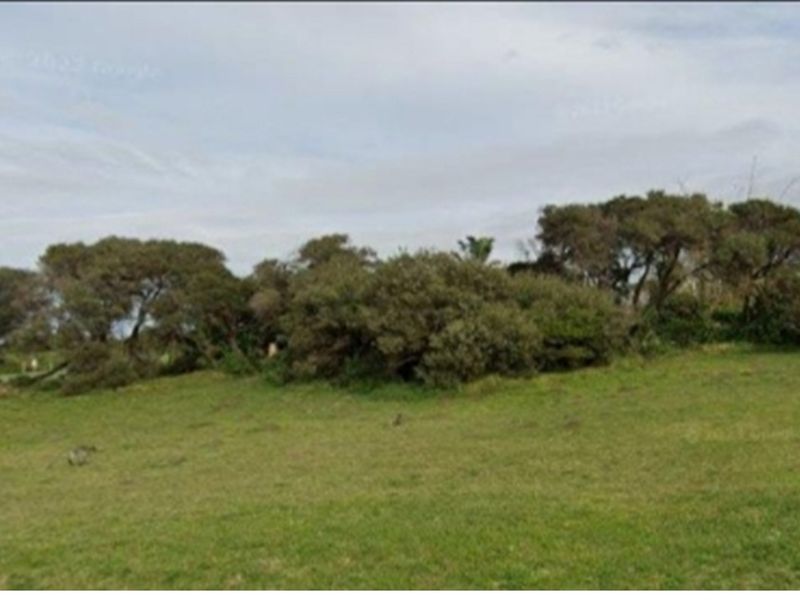 A view of a vacant residential plot featuring established trees and open grassy terrain.