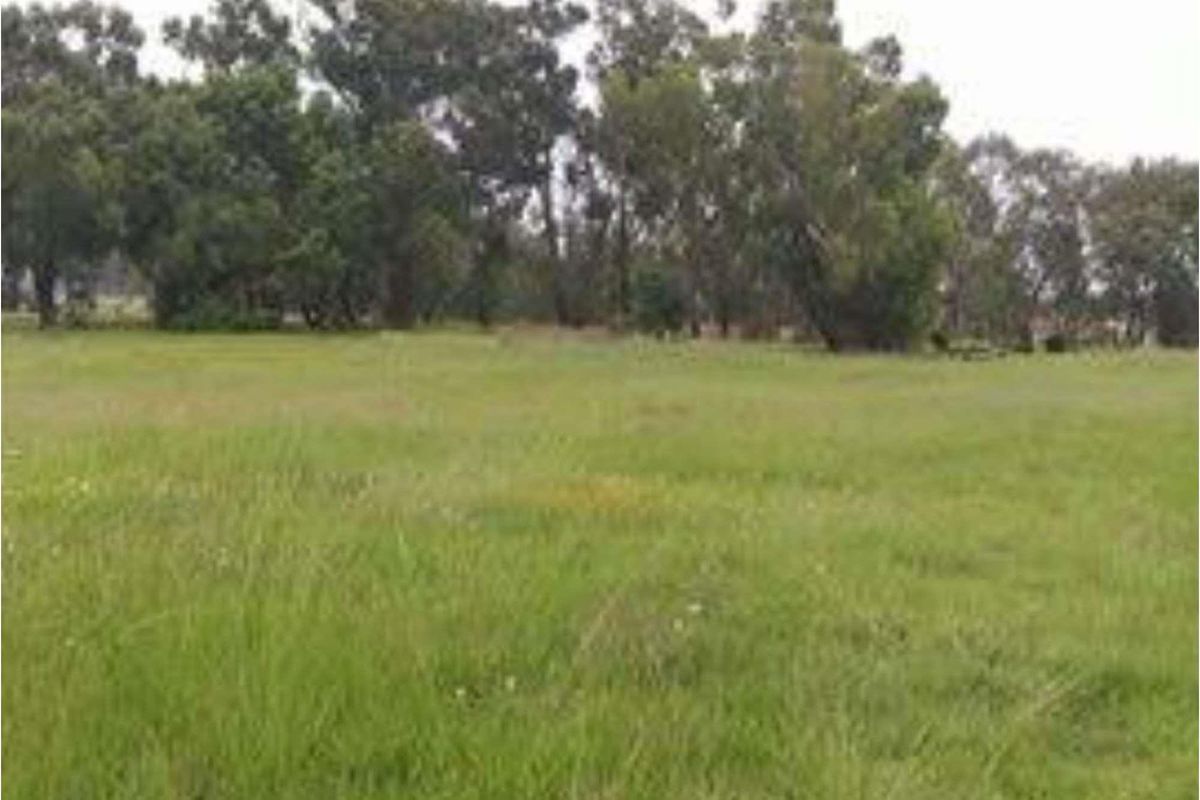 HIGHBURY * MEYERTON * VACANT STAND * Next to Highway * 1983sqm * R280 000.00 - Photo 4