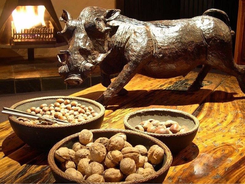 COMMERCIAL PROPERTY GRANNY MOUSEHOUSE FOR SALE HOGSBACK - Photo 6