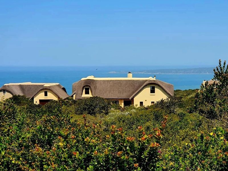 Elegant Eco-Estate Home in Western Cape. Close to Iconic Mossel Bay - Photo 2