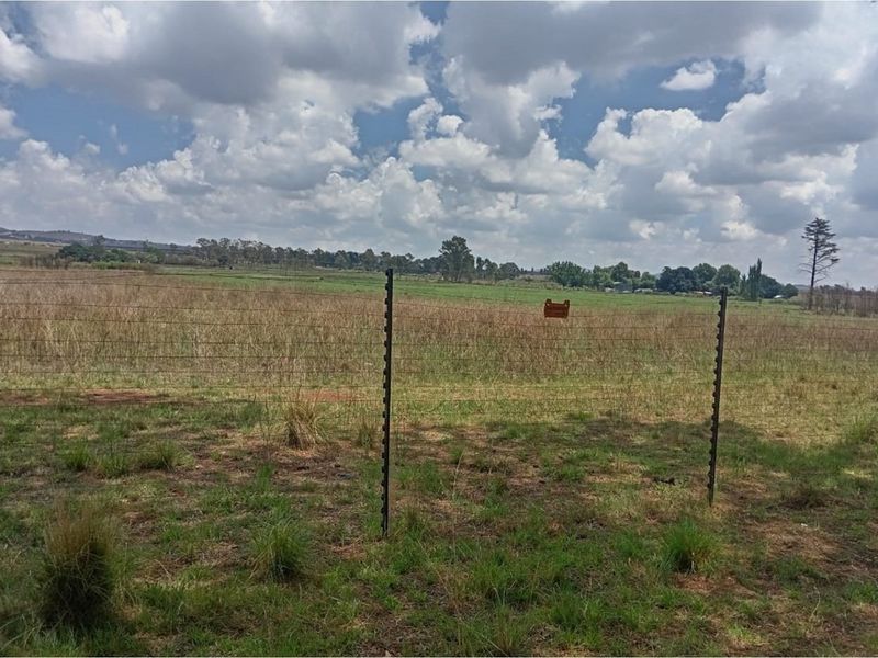 Charming Farmhouse Retreat in Witkop Meyerton Awaits You - Photo 10