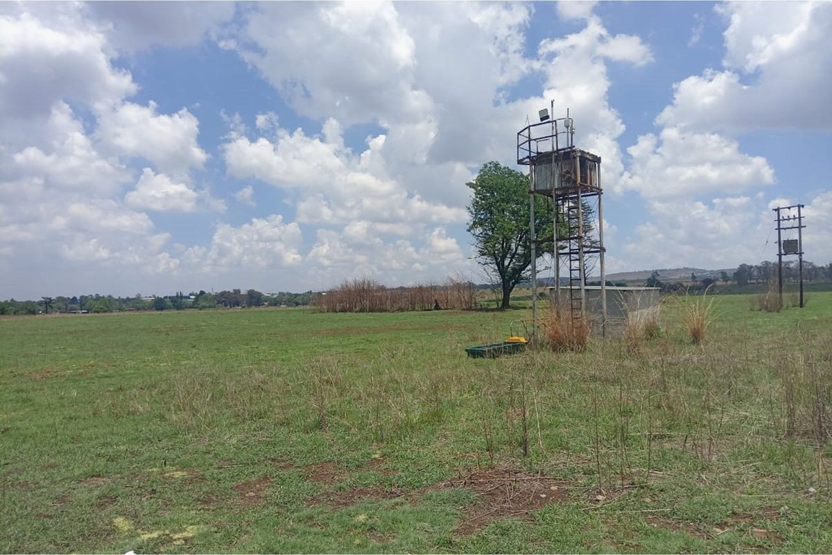 Charming Farmhouse Retreat in Witkop Meyerton Awaits You - Photo 2